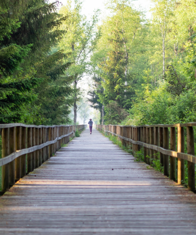Aging and Life Transitions
